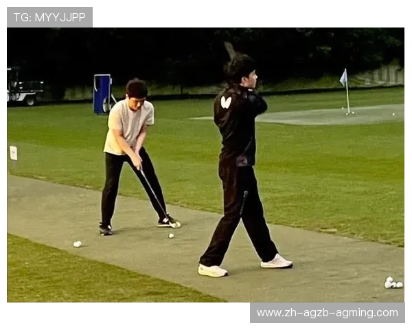 高尔夫巡回赛：迎战劲敌